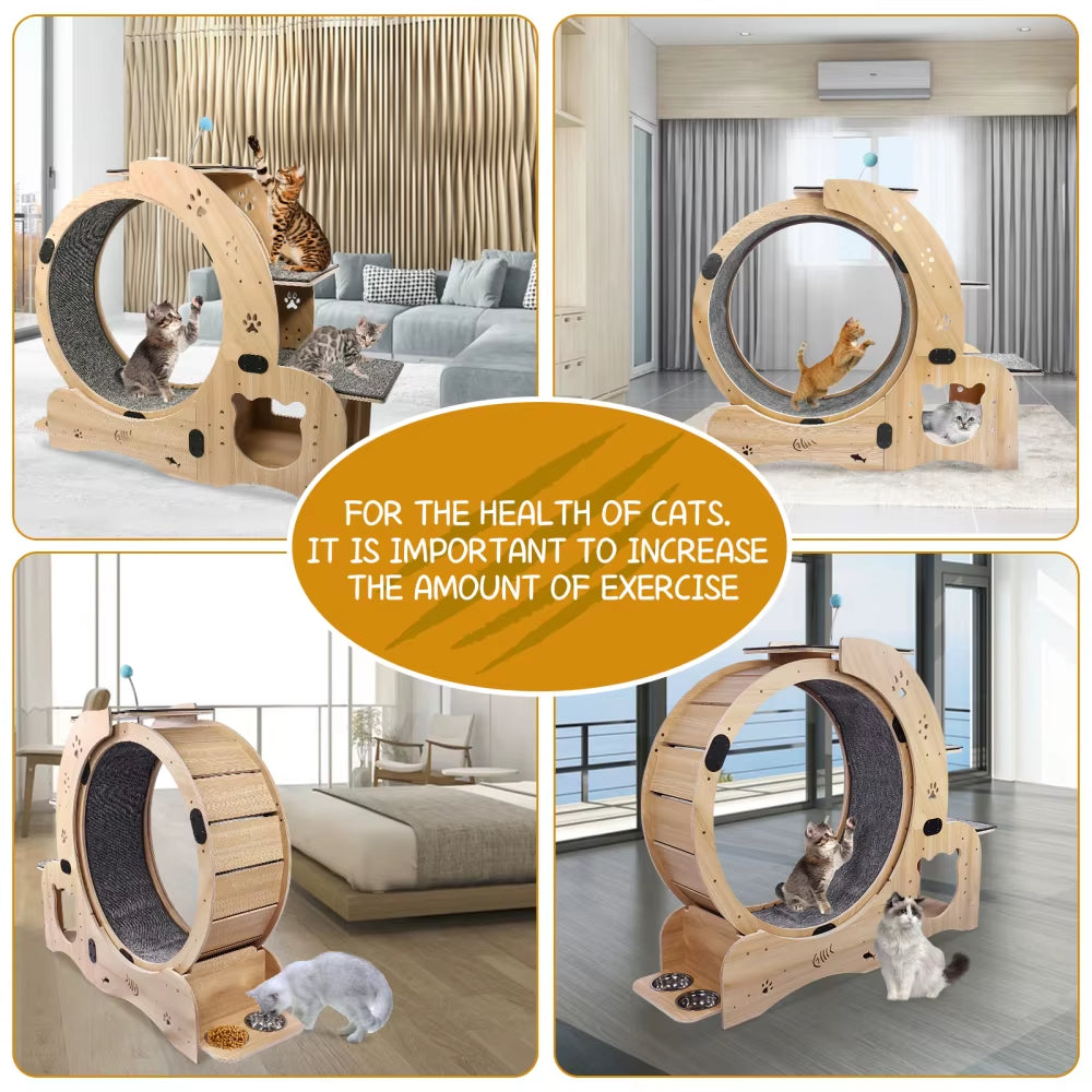 Cat Wheel 6-In-1 Cat Exercise Wheel,Upgraded Cat Wheel Exerciser for Indoor Cats,Large Cat Treadmill,Cat Running Wheel