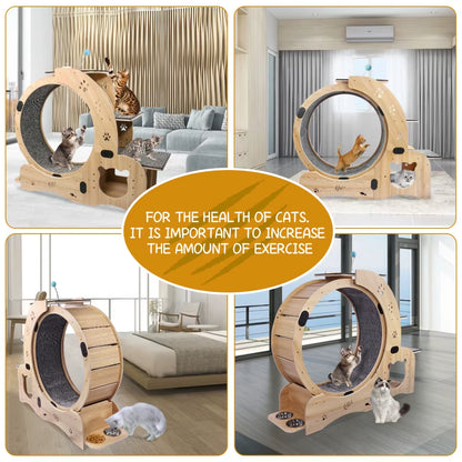 Cat Wheel 6-In-1 Cat Exercise Wheel,Upgraded Cat Wheel Exerciser for Indoor Cats,Large Cat Treadmill,Cat Running Wheel
